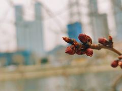 -马栏河运动公园