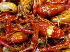 -虾弄弄海派小龙虾·牛羊蝎子火锅