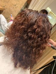 -Every Day Hair Studio