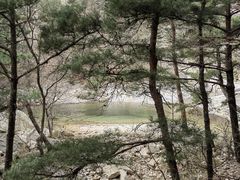 -无染寺