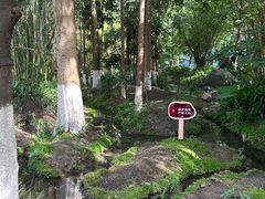 -成都市活水公园