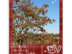 -花开海上生态园