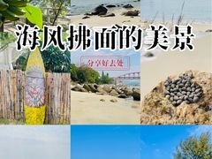 -玫瑰海岸文化旅游度假区