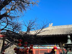 -红螺寺