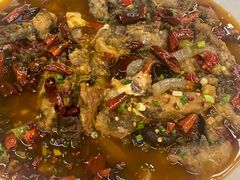 -龙翔山庄雷鸡肉(青城后山泰安古镇店)