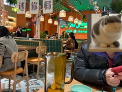 -迷你椰·泰式大排档(佛山顺德店)