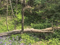 -昆嵛山石门里景区