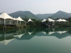 picture-帐篷客·溪龙茶谷度假酒店