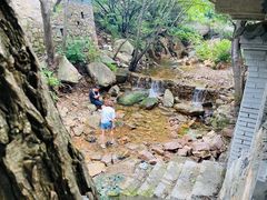 -老张烤羊(王哥庄店)