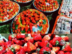 -菜园坝水果市场