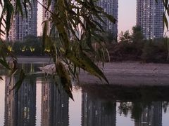 -长白岛森林公园