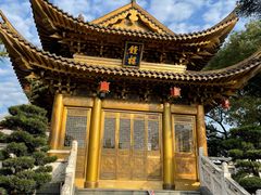 -上海东林寺(金山区)
