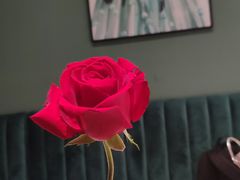 -茉莉餐厅(包河万达店)