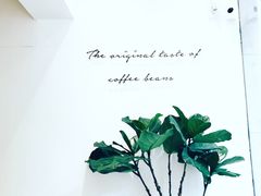 -red donkey coffee