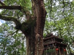 -安溪清水岩