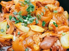 -洞庭家宴·头牌甲鱼(广渠门店)