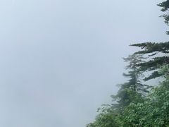 -峨眉山风景名胜区