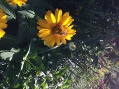 长春公园-长春公园(普阳街道)