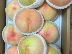 -南汇新场正宗水蜜桃采摘