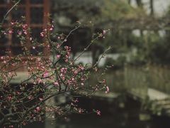 -六出私塾LiuChu•成人美术书法系统课程专业画室(熊婆婆的花园店)