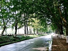 -五台山南京工业大学游泳馆(江浦馆)