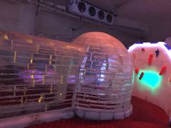 -白鹿仓冰雪海洋世界
