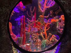 -沈阳海洋探索中心