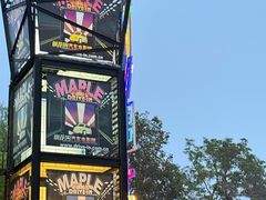 -枫花园汽车电影院(朝阳公园店)