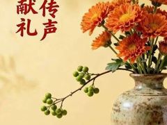 -自然之声助听器(平凉店)