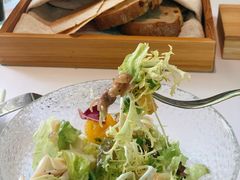 春季沙拉-蝶舍·MAISON PAPILLON