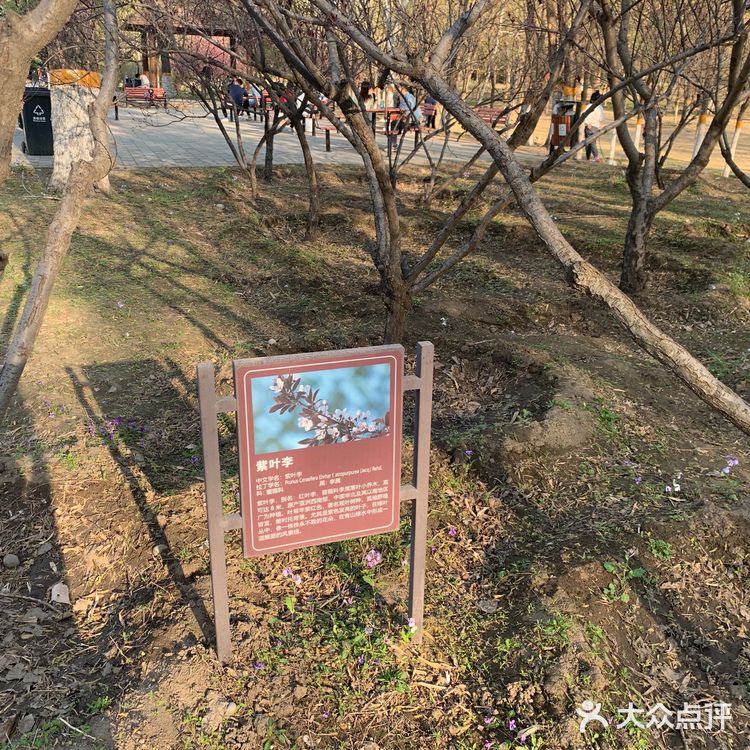 你好 春天｜东小口森林公园[亲亲]