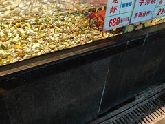 -广东道至正餐厅(区庄店)