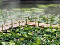 -广州莲花山旅游区