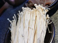 金针菇-蛙小侠(威高广场店)