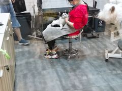 -PETKIT小佩宠物(古北店)