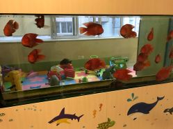 -杭州贝瑞斯美华妇儿医院·早孕·产检·儿科