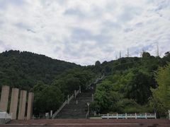 -铁山坪森林公园