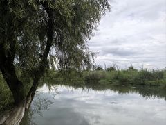 -捞渔河湿地公园