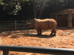 -昆明动物园