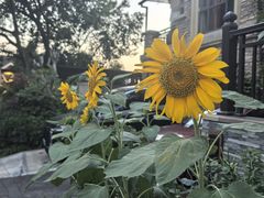 -重庆丽苑维景国际大酒店·海鲜自助餐厅