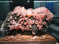 -湖南省地质博物馆