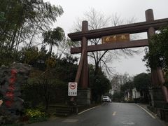 -龙井村