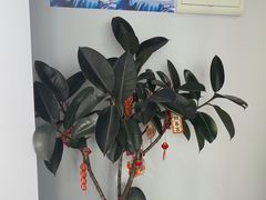 -视野联行眼镜•蔡司•依视路(温江店)