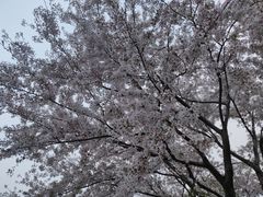 -鑫花溪牛肉米粉(人民广场店)