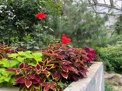 -南山植物园