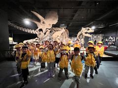 -飞童凡响艺术学校(松江区九里亭校区)