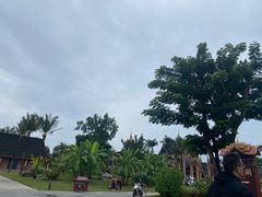 -西双版纳傣族园
