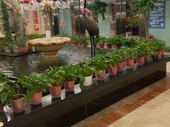 -汤泉良子.足疗按摩.SPA(中关村店)