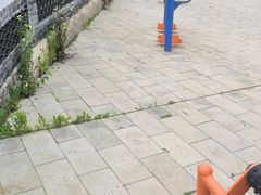 -青龙山国家森林公园