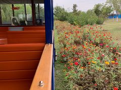 -永定河休闲森林公园